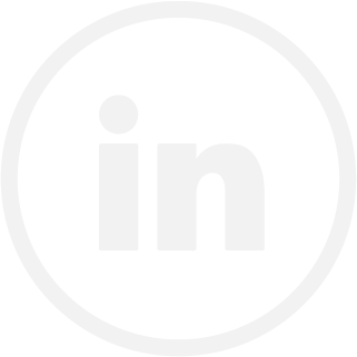 icon linkedin